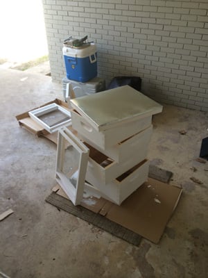 Neighborhood beekeeping boxes