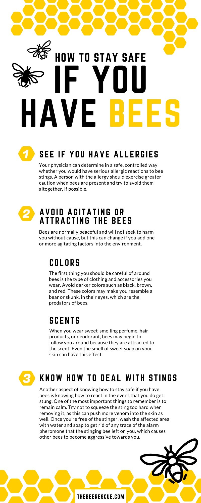 How to Stay Safe If You Have Bees - Honey Bee Rescue