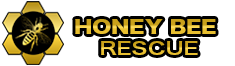 Honey Bee Rescue