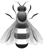Worker bee illustration